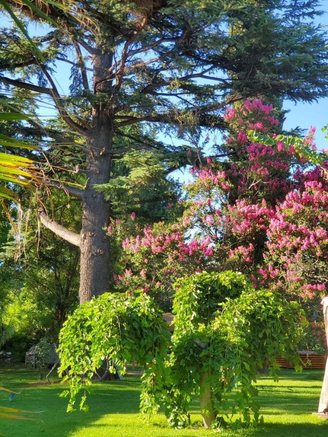 Quinta Ugarte Bed & Breakfast Lujan de Cuyo Exterior photo